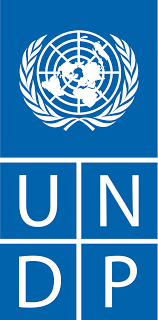 partner undp